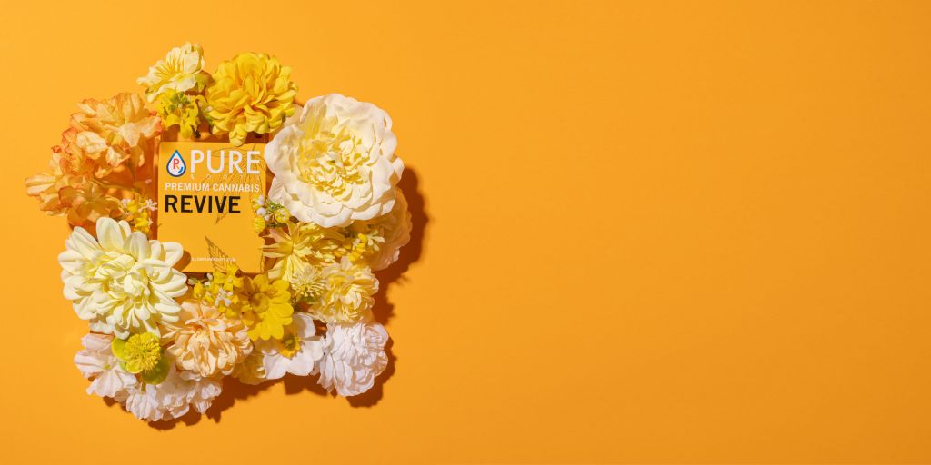 Exploring Cannabis Strains